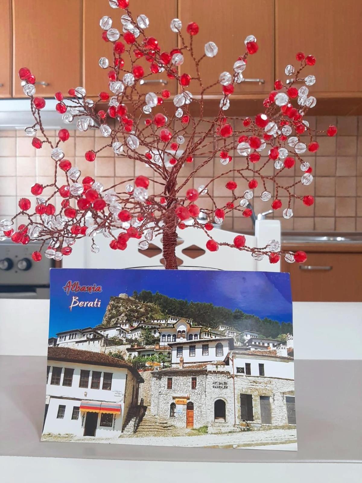Vangert Apartment Berat Dış mekan fotoğraf