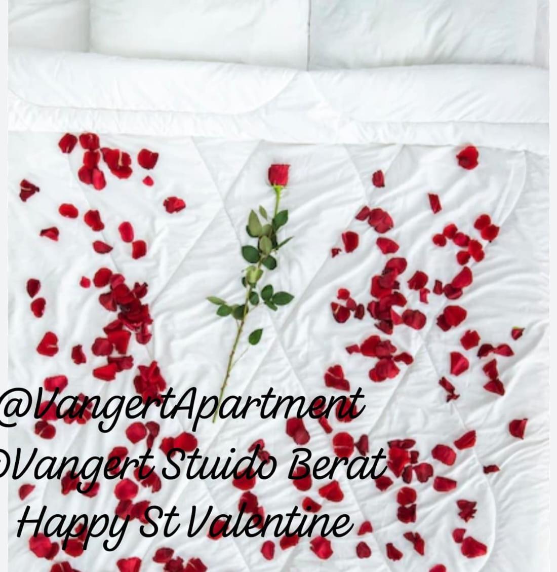 Vangert Apartment Berat Oda fotoğraf